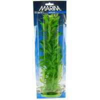 Marina Hygrophila Plant, 15" Tall-Fish-Marina-PetPhenom