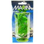 Marina Hygrophila Plant, 5" Tall-Fish-Marina-PetPhenom