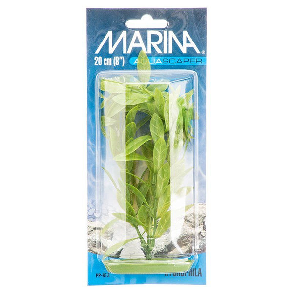 Marina Hygrophila Plant, 8" Tall-Fish-Marina-PetPhenom