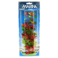 Marina Red Ludwigia Plant, 12" Tall-Fish-Marina-PetPhenom