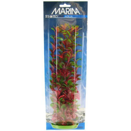 Marina Red Ludwigia Plant, 15" Tall-Fish-Marina-PetPhenom
