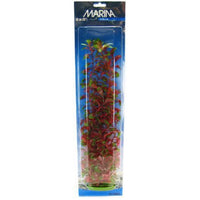 Marina Red Ludwigia Plant, 20" Tall-Fish-Marina-PetPhenom