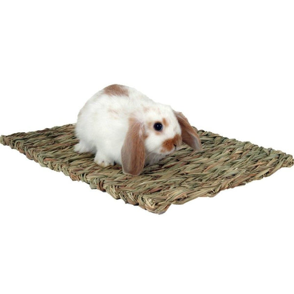 Marshall Peters Woven Grass Mat for Small Animals, 1 count-Small Pet-Marshall-PetPhenom