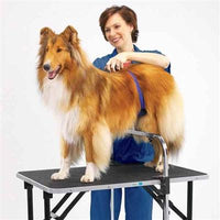 Master Grooming & Equipment Adjustable Grooming Supports-Dog-Master Grooming & Equipment-PetPhenom