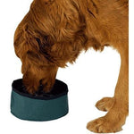 Mendota Pet Collapsible Dish - Green-Dog-Mendota Pet-PetPhenom