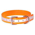 Mendota Pet DuraFlect Standard Collar - Orange - 1" -1" x 16"-Dog-Mendota Pet-PetPhenom