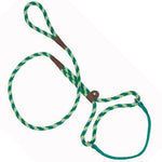Mendota Pet Mendota Dog Walker - Ivy -1/2" X 6'-Dog-Mendota Pet-PetPhenom