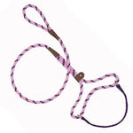 Mendota Pet Mendota Dog Walker - Lilac -1/2" X 4'-Dog-Mendota Pet-PetPhenom