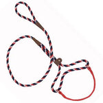 Mendota Pet Mendota Dog Walker - Pride -3/8" X 4'-Dog-Mendota Pet-PetPhenom