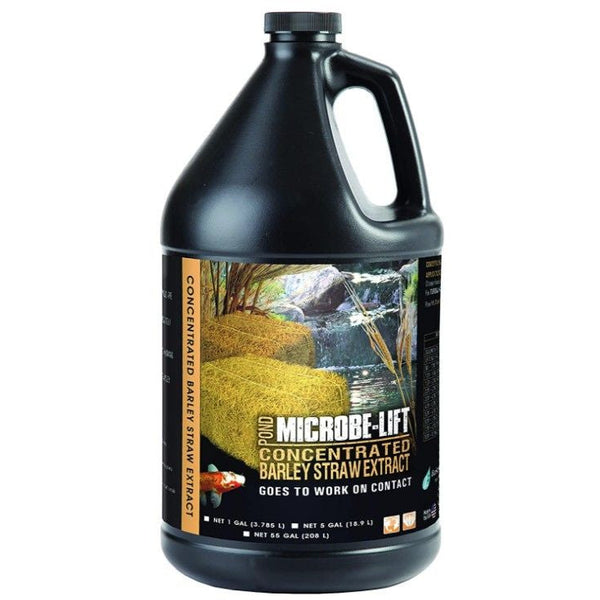 Microbe-Lift Barley Straw Concentrated Extract, 1 gallon-Fish-Microbe-Lift-PetPhenom