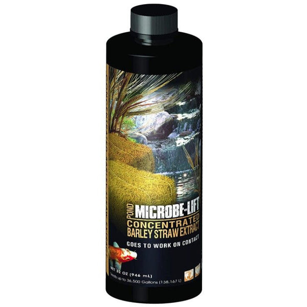 Microbe-Lift Barley Straw Concentrated Extract, 32 oz-Fish-Microbe-Lift-PetPhenom