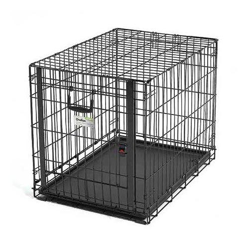 Midwest Ovation Single Door Crate with Up and Away Door Black 31.25" x 19.25" x 21.50"-Dog-Midwest-PetPhenom