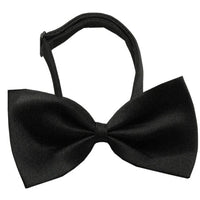 Mirage Pet Products Plain Black Bow Tie 