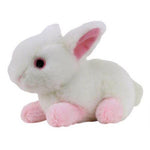 MultiPet LOOK WHO'S TALKING™ (Plush Talking Animals) - Rabbit-Dog-MultiPet-PetPhenom