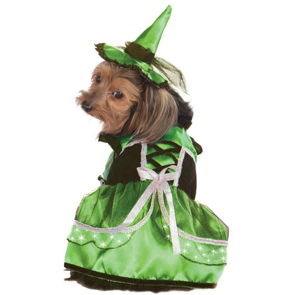 Neon F/O Witch- Neon Gree-Costumes-Rubies-Small-PetPhenom