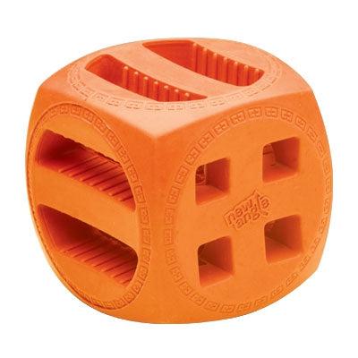 New Angle Pet Products New Angle Qbit Puzzle Box - Assorted Colors -Large-Dog-New Angle Pet Products-PetPhenom