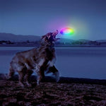 Nite-Ize® Dog Discuit LED Flying Disc-O by Nite Ize-Dog-Nite Ize-PetPhenom
