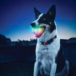 Nite-Ize® GlowStreak LED Ball Disc-O by Nite Ize-Dog-Nite Ize-PetPhenom