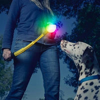 Nite-Ize® Huck N Tuck GlowStreak Collapsible Thrower + LED Ball-Dog-Nite-Ize®-PetPhenom