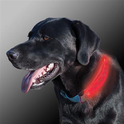 Nite-Ize® Nite Dawg LED Collar Covers by Nite Ize -Grey-Dog-Nite Ize-PetPhenom