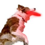 Nite-Ize® Nite Dawg LED Disc -Disco Dog-Dog-Nite-Ize®-PetPhenom