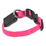 Nite-Ize® Nite Dawg LED Light Up Dog Collar XS - Neon Pink-Dog-Nite-Ize®-PetPhenom