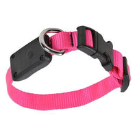 Nite-Ize® Nite Dawg LED Light Up Dog Collar XS - Neon Pink-Dog-Nite-Ize®-PetPhenom