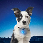 Nite-Ize® SpotLit Collar Lights by Nite Ize -White-Dog-Nite Ize-PetPhenom