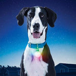 Nite-Ize® SpotLit XL Rechargeable Collar Light - Disc-O Select by Nite Ize-Dog-Nite Ize-PetPhenom