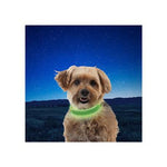 NiteIze NiteDog Rechargeable LED Collar - Lime - Small-Dog-Nite-Ize®-PetPhenom