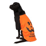 No Tricks Just Treats LED-Costumes-Rubies-XXL-PetPhenom