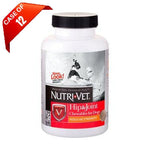 Nutri-Vet Nutri-Vet Hip & Joint Regular Strength Chewables - 500mg GS, 100mg CS, 10 mg MSM -75 ct-Dog-Nutri-Vet-PetPhenom