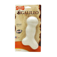 Nylabone Dura Chew Galileo Bone Medium White-Dog-Nylabone-PetPhenom