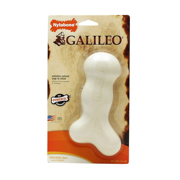 Nylabone Dura Chew Galileo Bone Medium White-Dog-Nylabone-PetPhenom