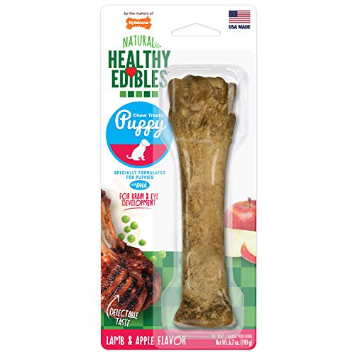 Nylabone Healthy Edibles Puppy Lamb and Apple Souper, 1 count-Dog-Nylabone-PetPhenom