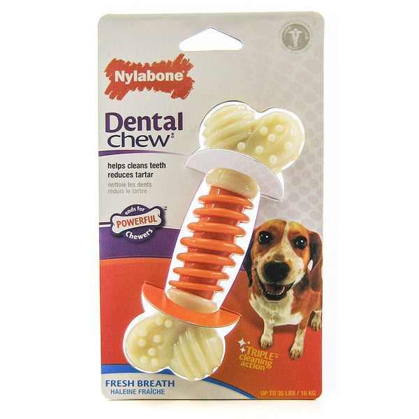 Nylabone Pro Action Dental Chew - Fresh Breath, Medium - 5" Long-Dog-Nylabone-PetPhenom