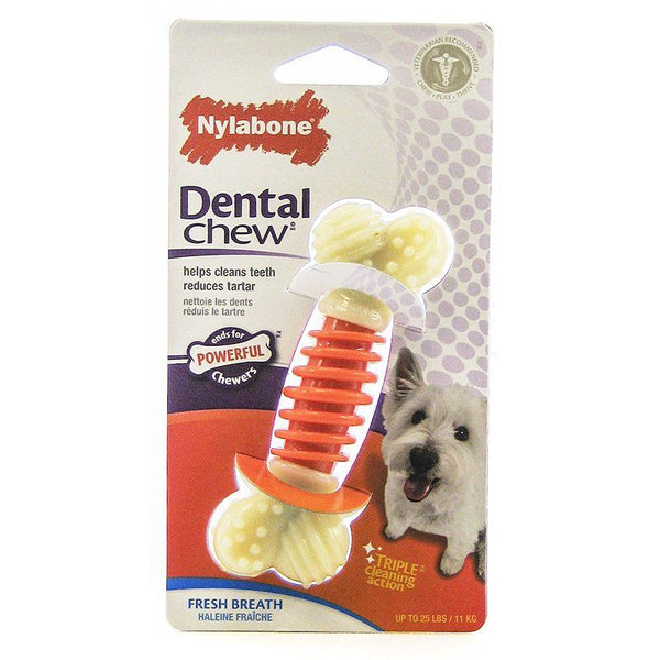 Nylabone Pro Action Dental Chew - Fresh Breath, Small - 4" Long-Dog-Nylabone-PetPhenom