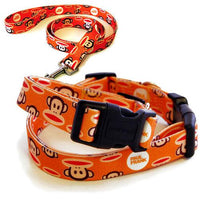 Paul Frank Pet Signature Julius Orange Collars & Leashes -Small Collar (#26PFC-SJOS)-Dog-Paul Frank Pet-PetPhenom