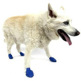 PawZ Dog Boots PawZ - Blue - Medium - up to 3"-Dog-PawZ Dog Boots-PetPhenom