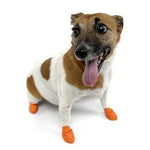 PawZ Dog Boots PawZ - Orange - XSmall - up to 2"-Dog-PawZ Dog Boots-PetPhenom