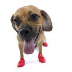 PawZ Dog Boots PawZ - Red - Small - up to 2.5"-Dog-PawZ Dog Boots-PetPhenom
