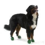 Pawz Dog Boots Extra Large Green-Dog-Pawz-PetPhenom