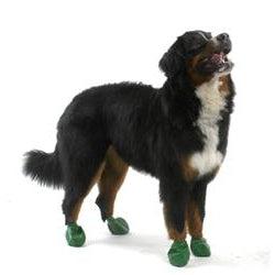 Pawz Dog Boots Extra Large Green-Dog-Pawz-PetPhenom