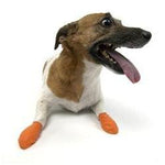 Pawz Dog Boots Extra Small Orange-Dog-Pawz-PetPhenom
