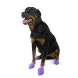 Pawz Dog Boots Large Purple-Dog-Pawz-PetPhenom