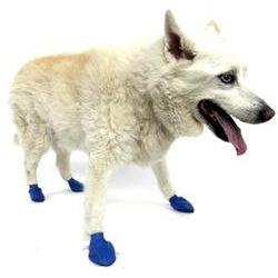 Pawz Dog Boots Medium Blue-Dog-Pawz-PetPhenom