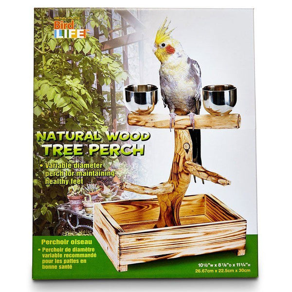 Penn Plax Bird Life Natural Wood Tree Perch, 11" High - (Small & Medium Birds)-Bird-Penn Plax-PetPhenom