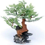Penn Plax Bonsai Tree on Rock Aquarium Ornament, 10" Tall-Fish-Penn Plax-PetPhenom