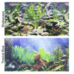 Penn Plax Double-Back Aquarium Background - Tropical Blue / Shalescape, 24" Tall x 48" Wide - (Fits 45-120 Gallon Tanks)-Fish-Penn Plax-PetPhenom