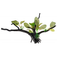 Penn Plax Driftwood Plant - Green - Wide, 1 Count-Fish-Penn Plax-PetPhenom